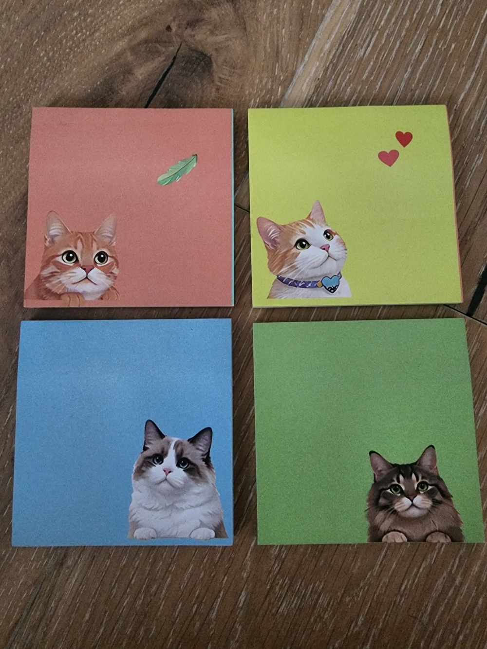 Buyer's Choice- Adorable Cat Sticky Note Pads